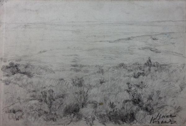 Duinlandschap