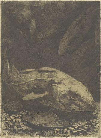 Vissen in een aquarium