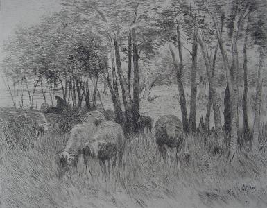 Grazende schapen met schapenhoeder