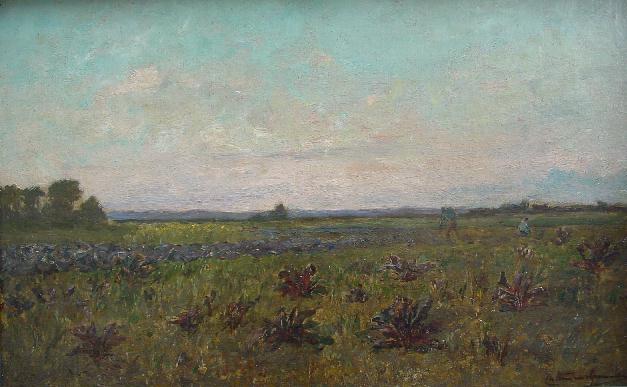 Landschap in de avondschemer